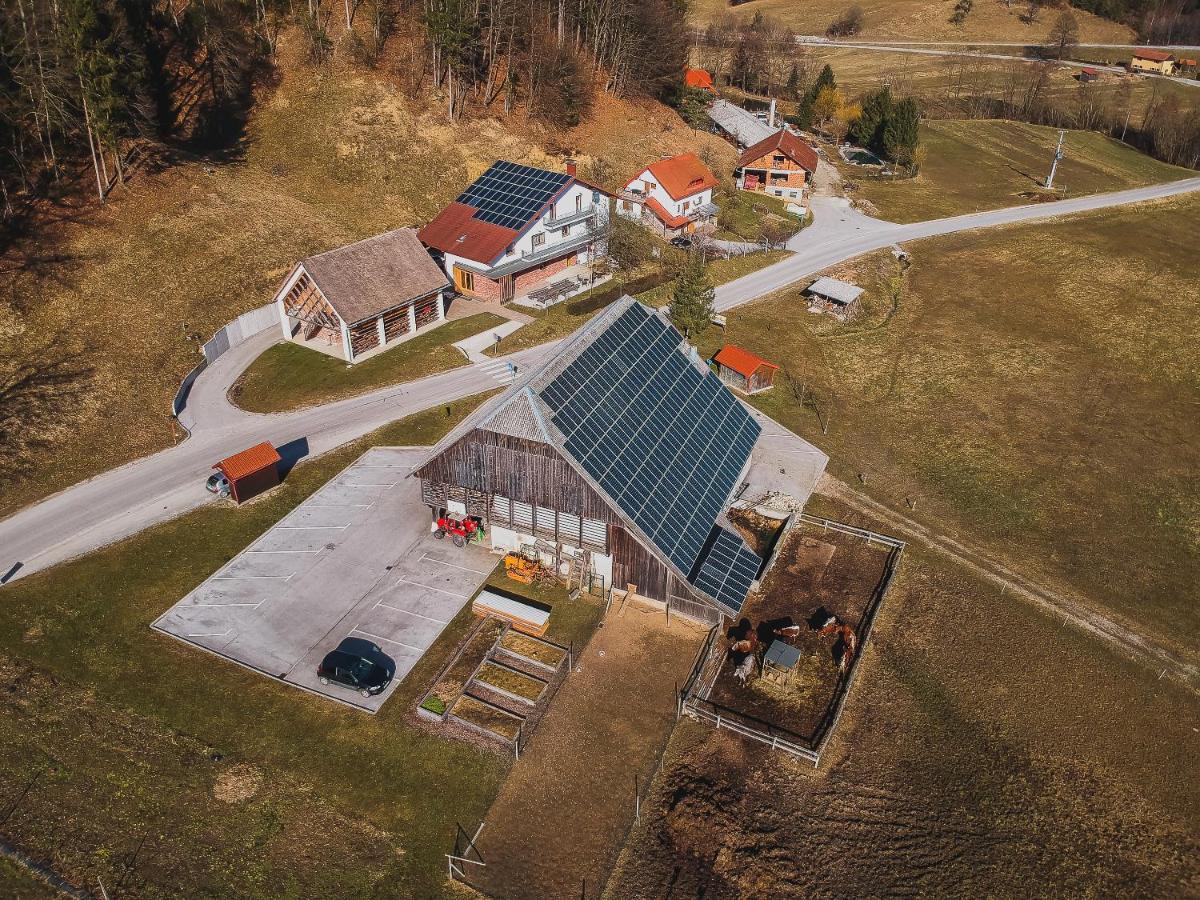 Farm Stay Zurej Sentjur Exterior photo