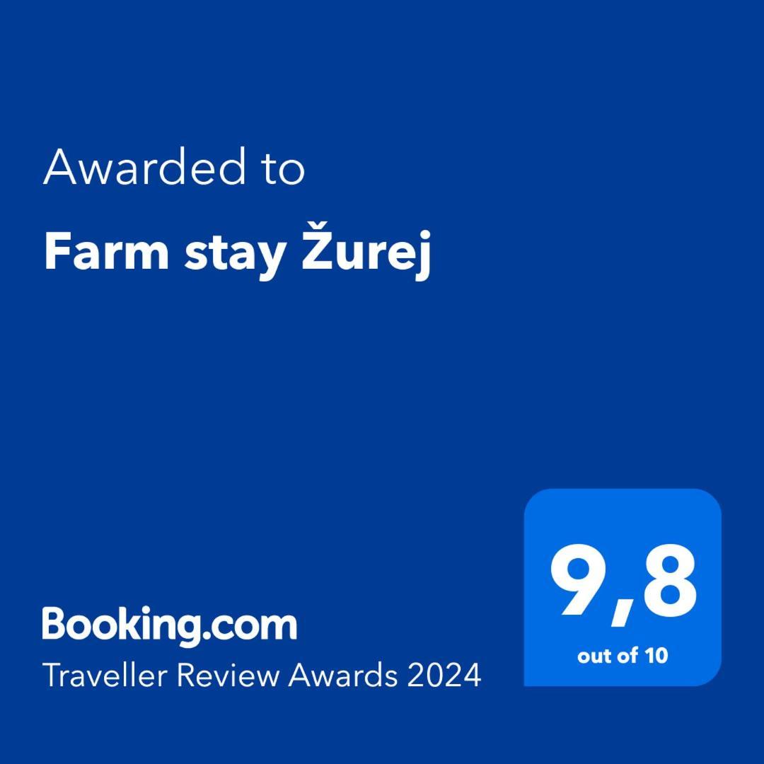 Farm Stay Zurej Sentjur Exterior photo